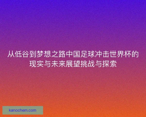 从低谷到梦想之路中国足球冲击世界杯的现实与未来展望挑战与探索