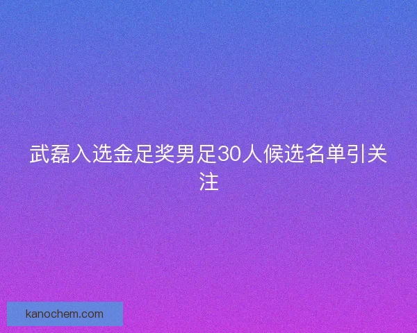 武磊入选金足奖男足30人候选名单引关注
