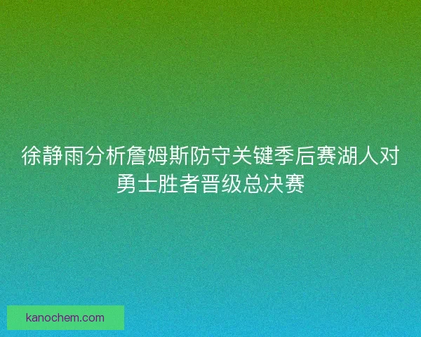 徐静雨分析詹姆斯防守关键季后赛湖人对勇士胜者晋级总决赛 徐静雨分析詹姆斯防守关键季后赛湖人对勇士胜者晋级总决赛