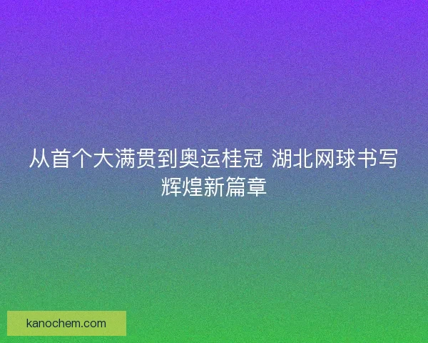 从首个大满贯到奥运桂冠 湖北网球书写辉煌新篇章