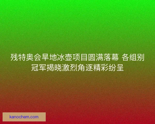 残特奥会旱地冰壶项目圆满落幕 各组别冠军揭晓激烈角逐精彩纷呈