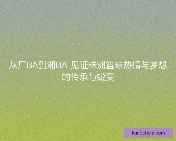 从厂BA到湘BA 见证株洲篮球热情与梦想的传承与蜕变